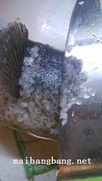 鱼肉酿青椒的做法步骤2