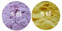超高颜值小花卷的做法步骤7